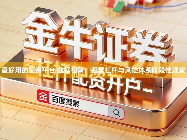 最好用的配资平台 数据视角：股票杠杆与风控体系阶段性观察