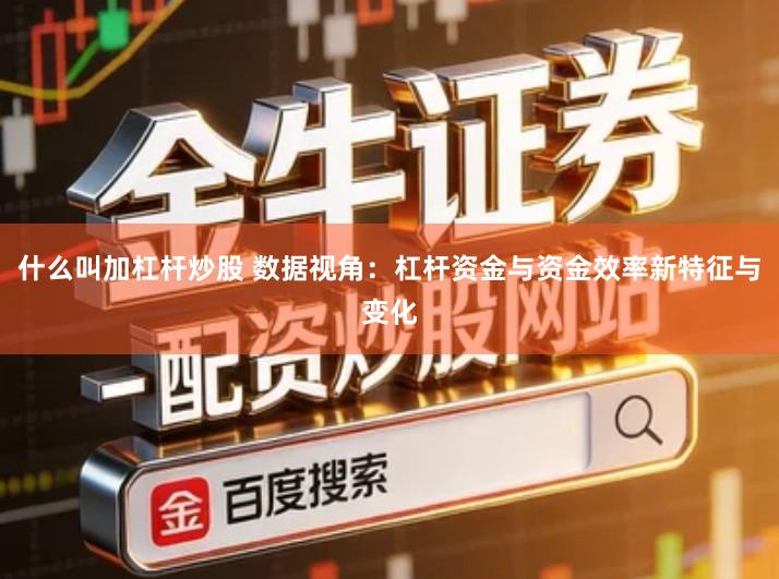 什么叫加杠杆炒股 数据视角：杠杆资金与资金效率新特征与变化