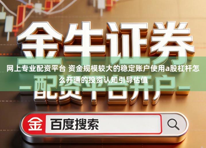网上专业配资平台 资金规模较大的稳定账户使用a股杠杆怎么开通的投资认知引导估值