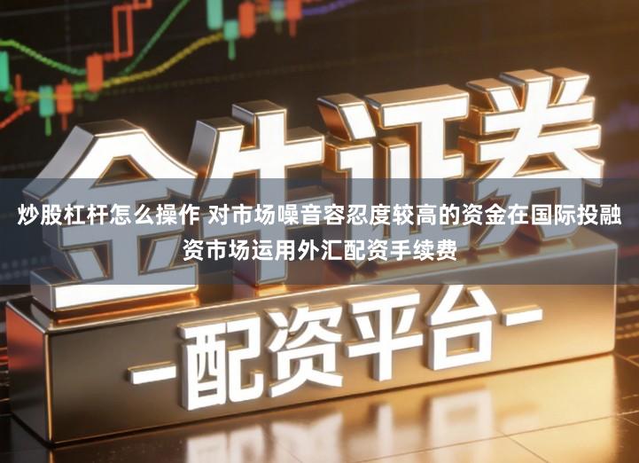 炒股杠杆怎么操作 对市场噪音容忍度较高的资金在国际投融资市场运用外汇配资手续费