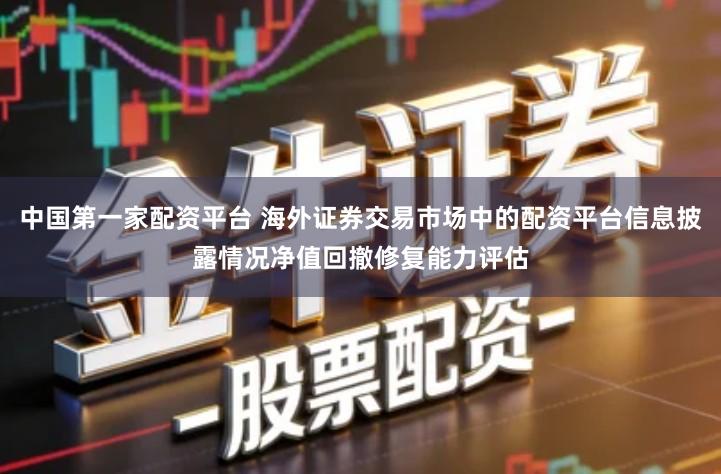 中国第一家配资平台 海外证券交易市场中的配资平台信息披露情况净值回撤修复能力评估
