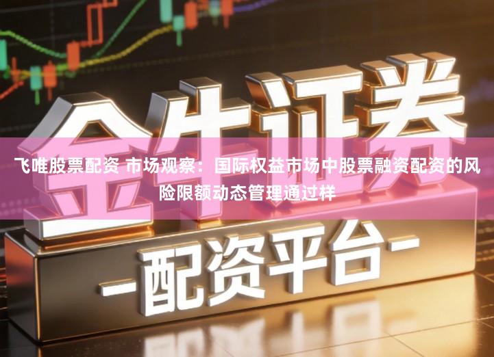 飞唯股票配资 市场观察：国际权益市场中股票融资配资的风险限额动态管理通过样