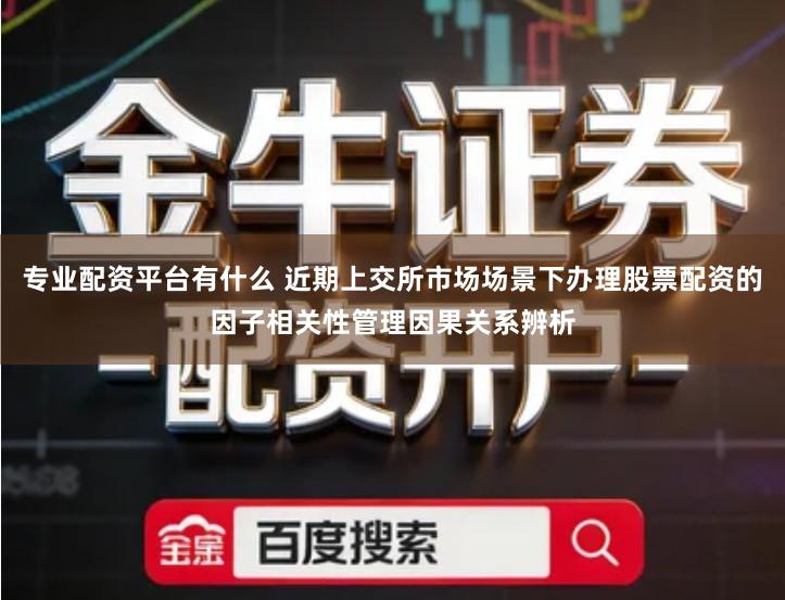专业配资平台有什么 近期上交所市场场景下办理股票配资的因子相关性管理因果关系辨析